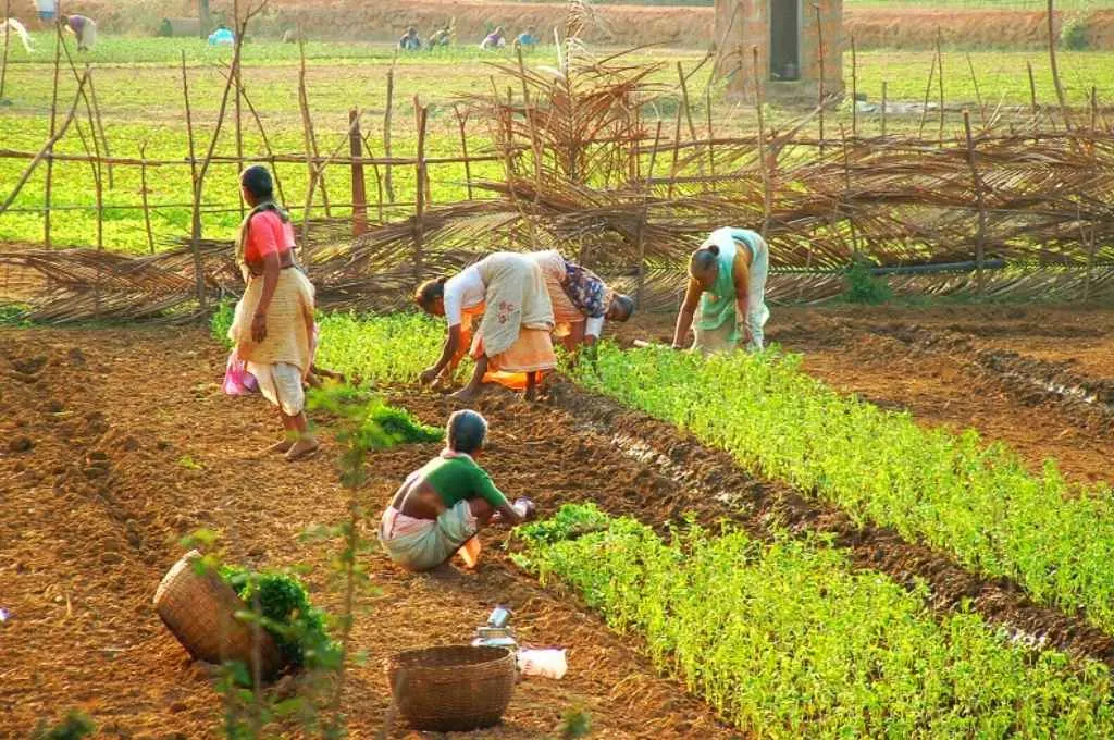 four women farmers working on a field somewhere in India