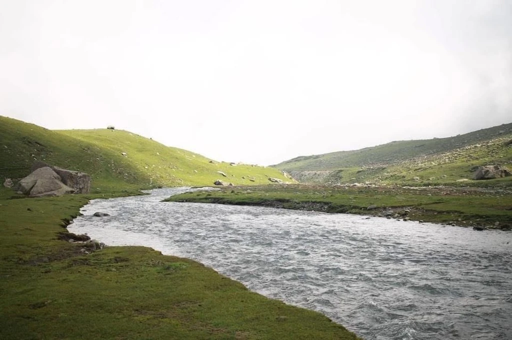 The image is a landscape view of low, grass-covered hills with rocks spread across them. There is a stream of water flowing through the middle with gentle rapids._Kashmir otters