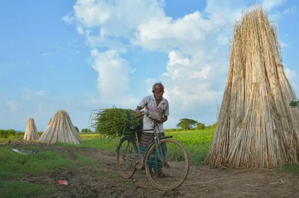 an elderly man walking his bicycle through a field, carrying a bundle of grass, with stacks of straw in the background--inclusive growth india