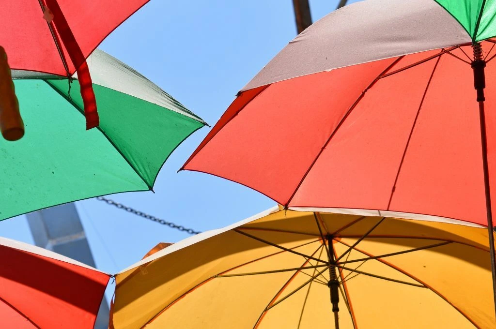 The image is a close-up of differently-coloured umbrellas that are open and suspended in the air._Queer laws