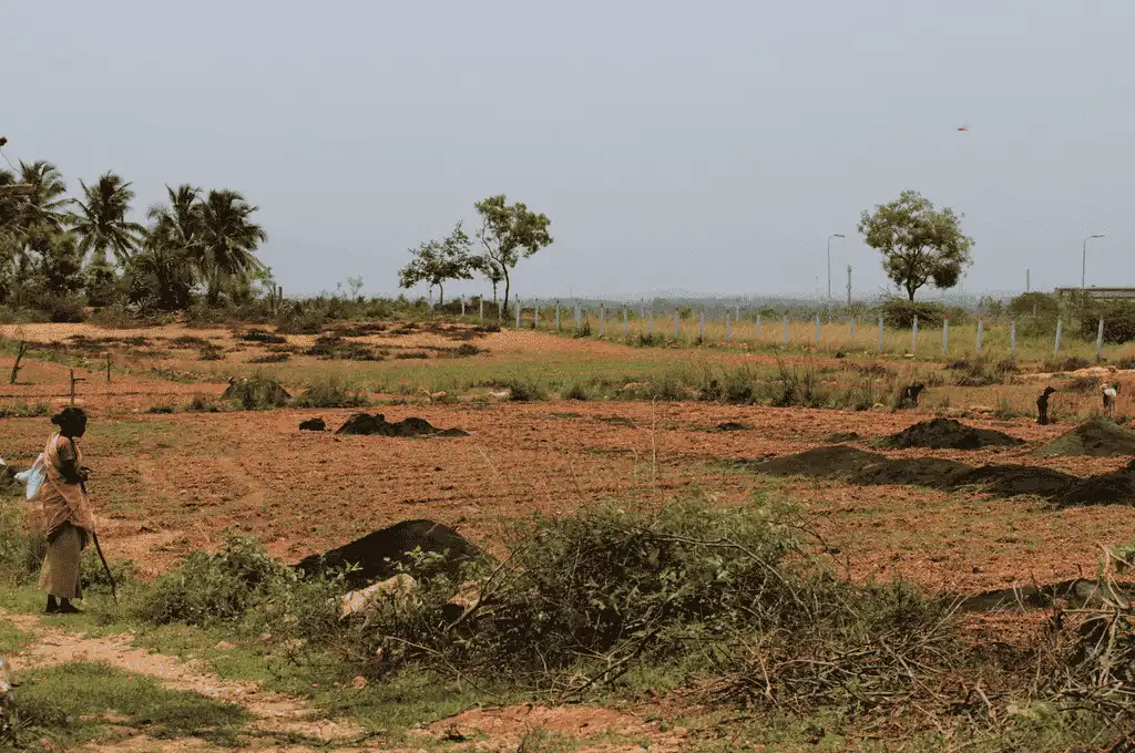 a woman looking over a ploughed field._economic valuation
