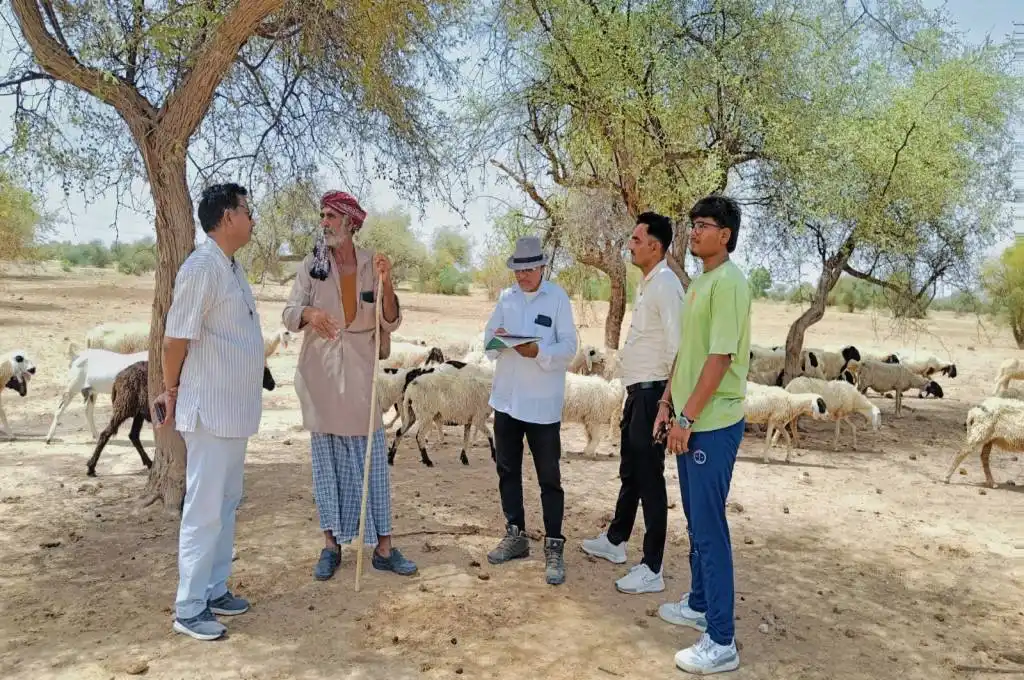 a group of men standing in the shade of a small grove._economic valuation