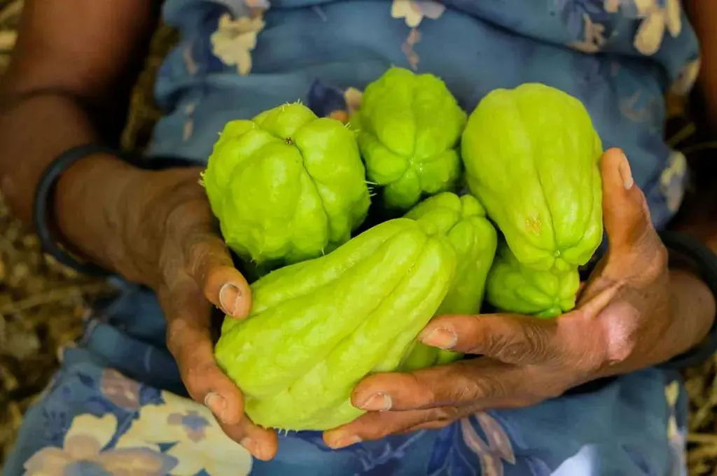 A Person Holding iskut-iskut