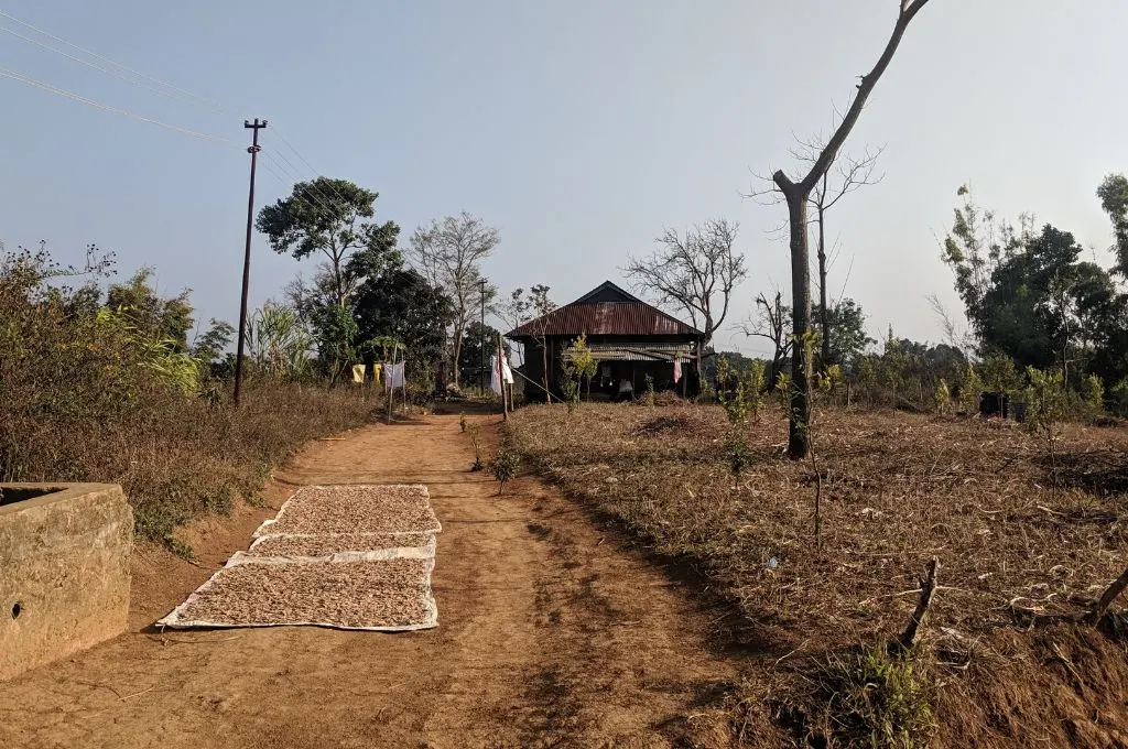 an unpaved lane, with a field to its right, leading up to a house in a Jaintia village in Meghalaya--MGNREGA